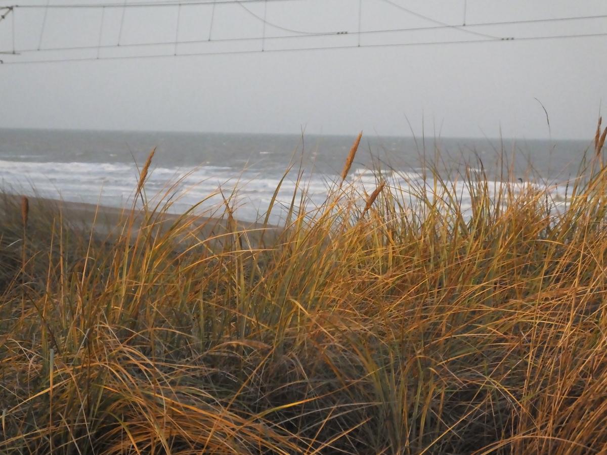 Bed and Breakfast Sable D'O -Vlak Aan De Zee- Mariakerke  Esterno foto